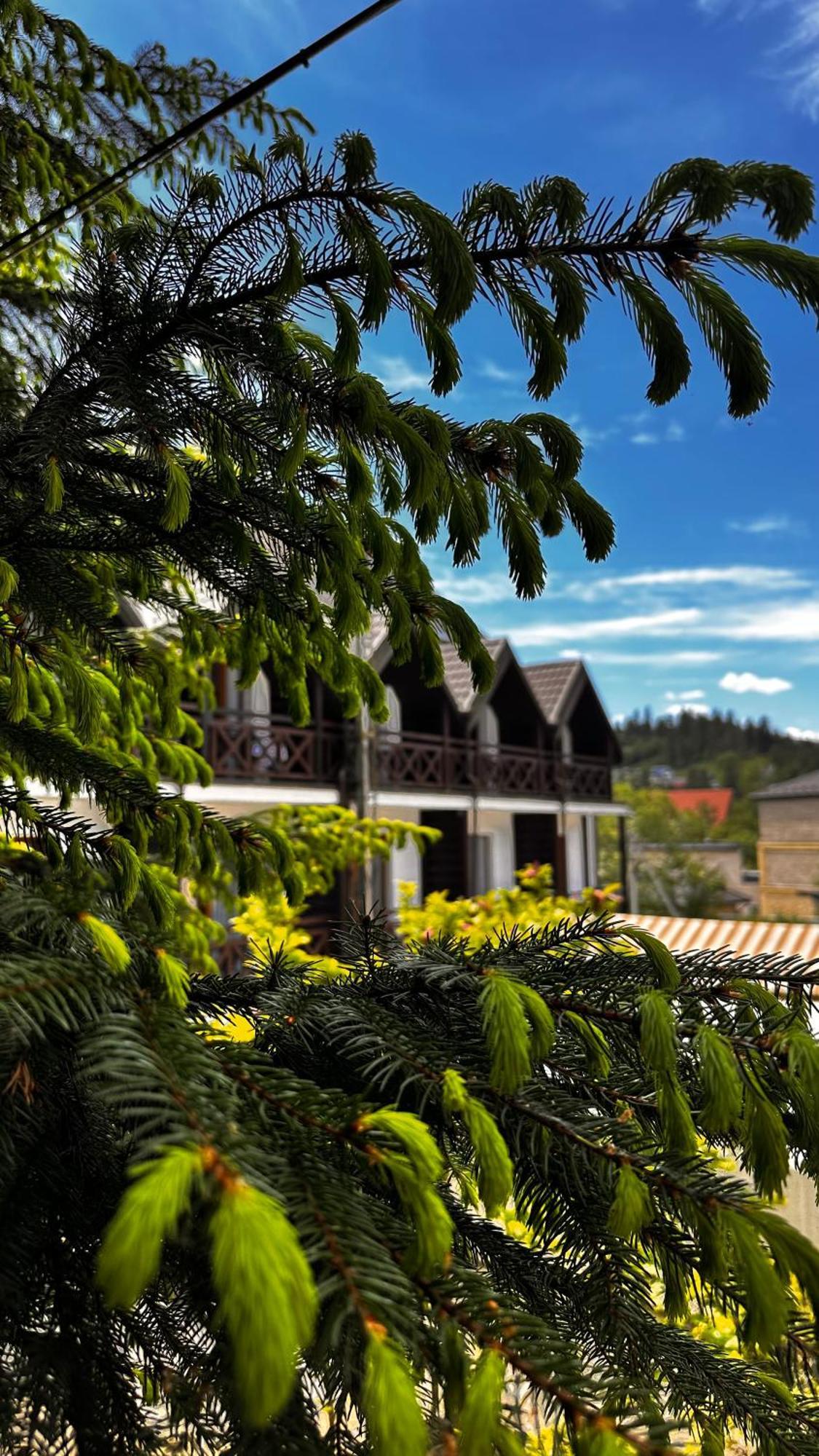 Rubel Aparthotel&Spa Yaremche Exterior photo